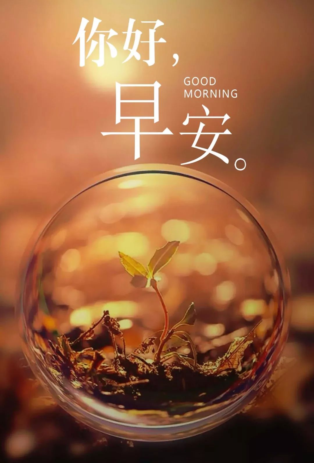 梦境交织，探索梦到去世的男朋友活着难后死了的深层含义