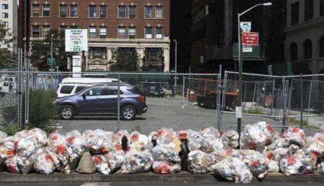 梦境解析，梦见自己打老鼠，而老鼠却向你示威的深层含义