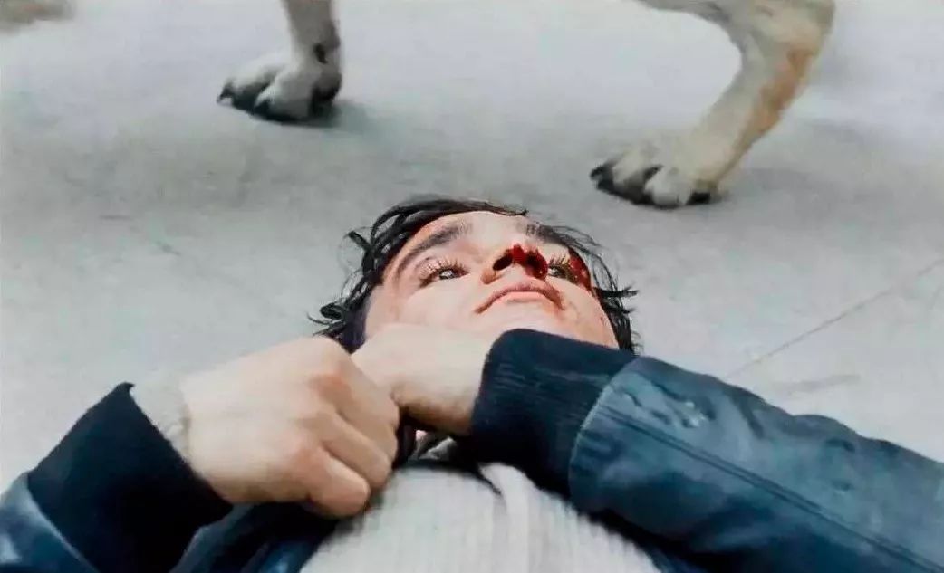 梦到死人复活，潜意识的警示还是灵魂的对话？