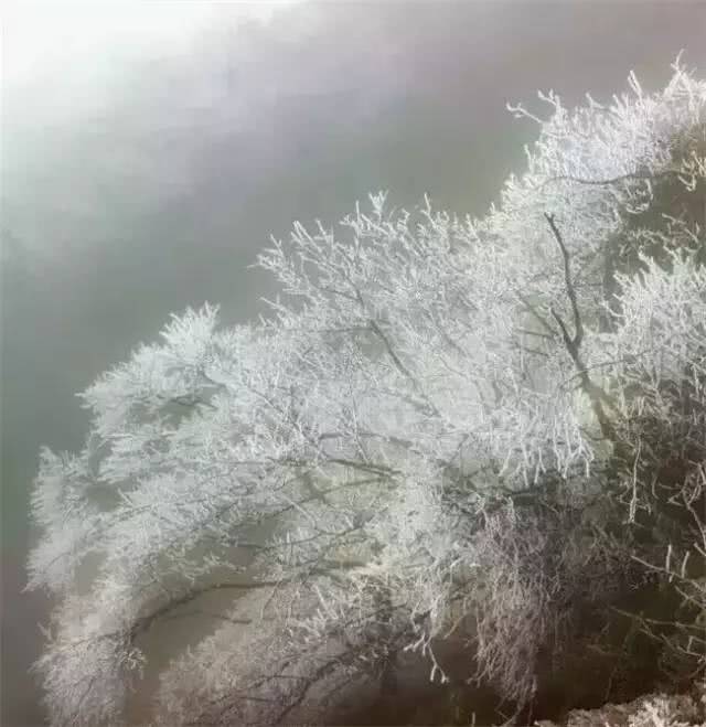 梦见下雪是什么预兆，梦境中的雪花与现实生活的心灵启示
