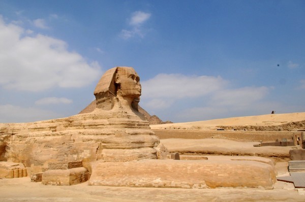 梦之谜语，白色蛇的困境与救赎——一场关于自我救赎与心灵觉醒的深度解读