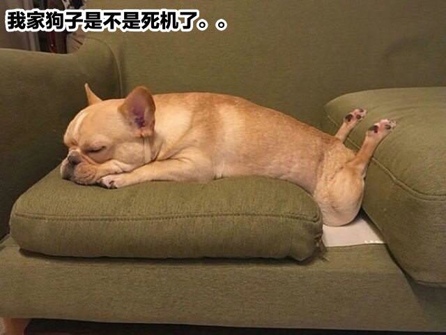 梦境与现实交织，梦见老公带回陌生女子，婚姻中的信任与理解