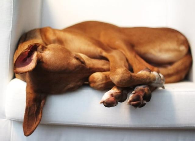 梦境的隐喻，解析别人梦见我生了小孩又年轻了的深层含义