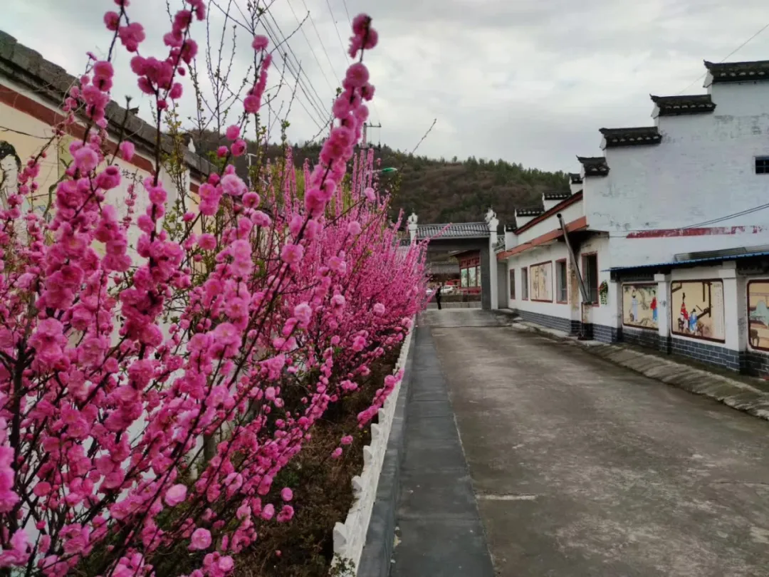 梦回往昔，前女友的归来与婚姻之约——解析分手一年后的梦境启示