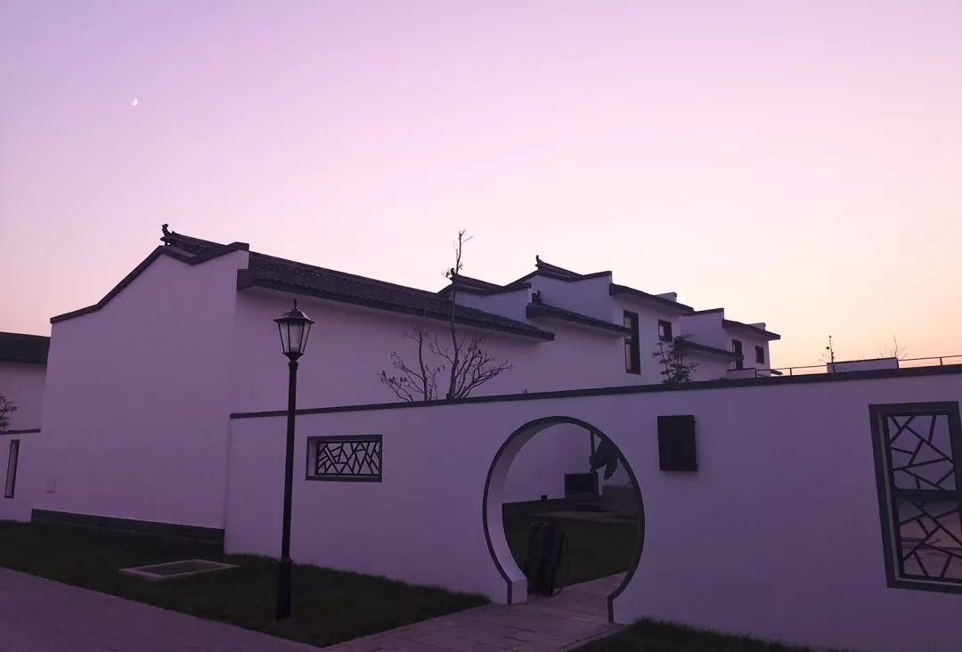 梦回田野，母爱、同事情谊与隐秘象征的交织