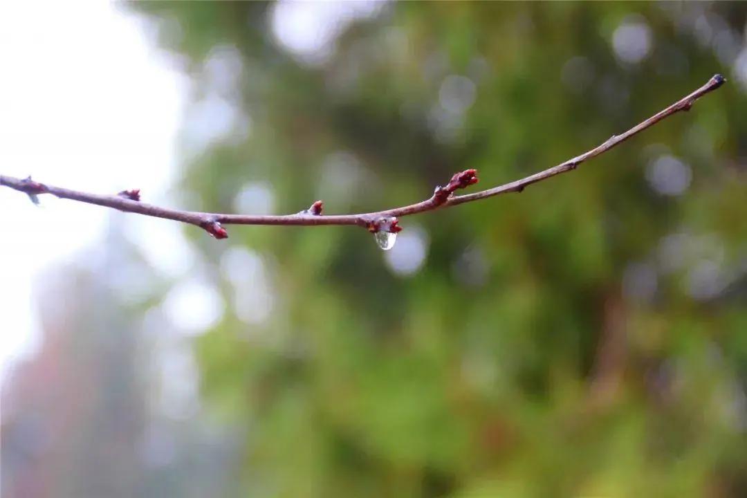 梦境中的贪婪与道德抉择，解析梦见捡了别人的钱自己偷留了一半