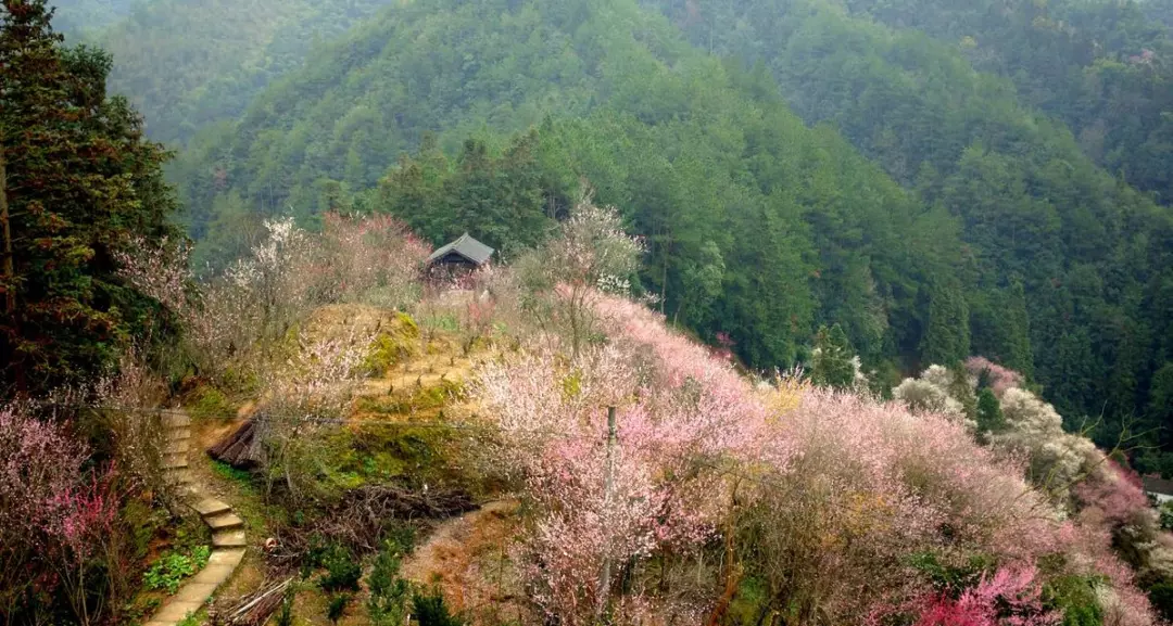 病人梦到鱼从水里跳出，梦境深处的生命活力与康复之兆