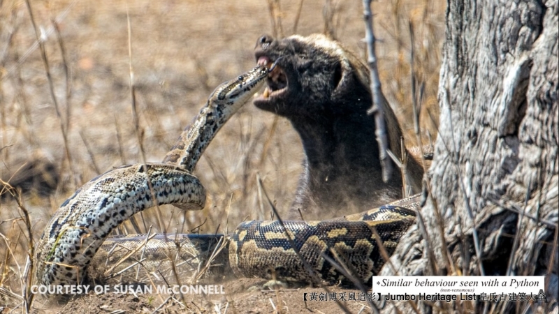 梦河追影，解析我做梦梦到在河里被两条蛇追的深层含义