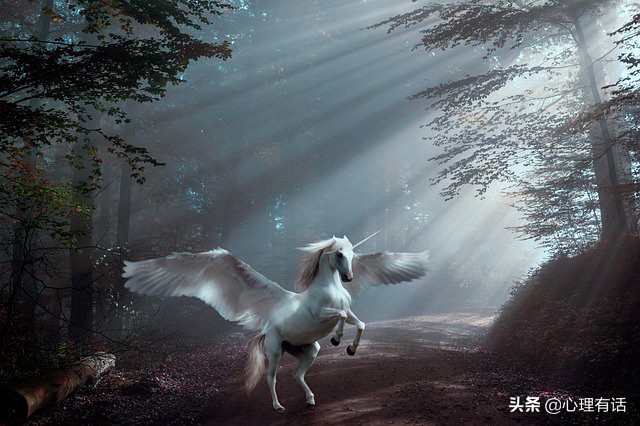 梦回旧情，前男友、现任与我的家——一场关于记忆与选择的梦境解析