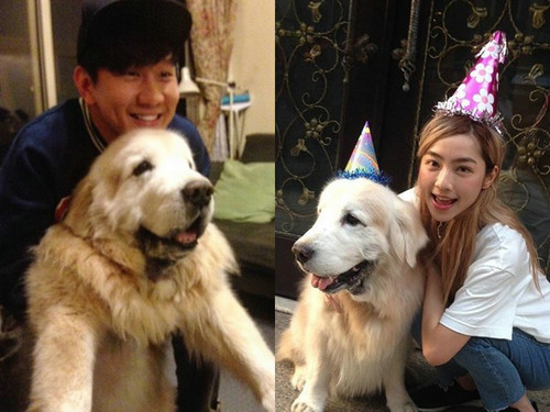 梦回往昔，解梦中的温情时光——奶奶为爷爷洗澡，我与妈妈共坐餐桌前的模糊记忆