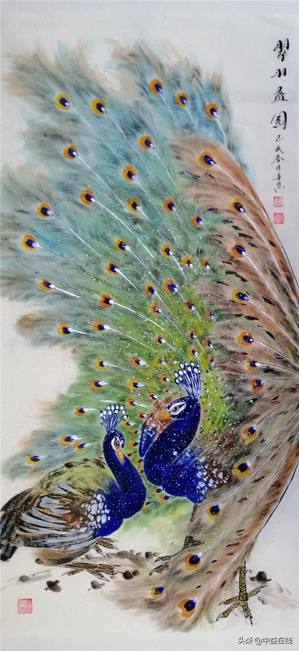 梦中双雀，一公一母孔雀开屏的寓意与解读