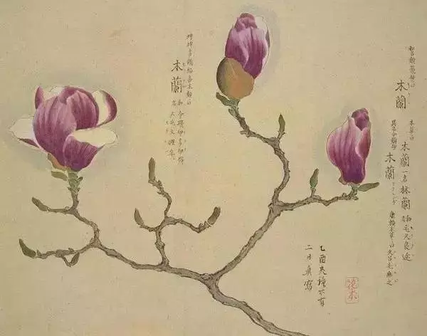 夜夜入梦，为何总是同一个人？——解梦心理学深度解析