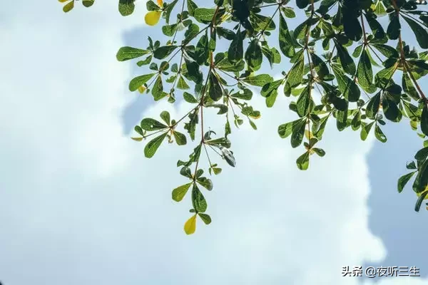 总是梦见身边的亲人父母过世是怎么回事？父母都还健在