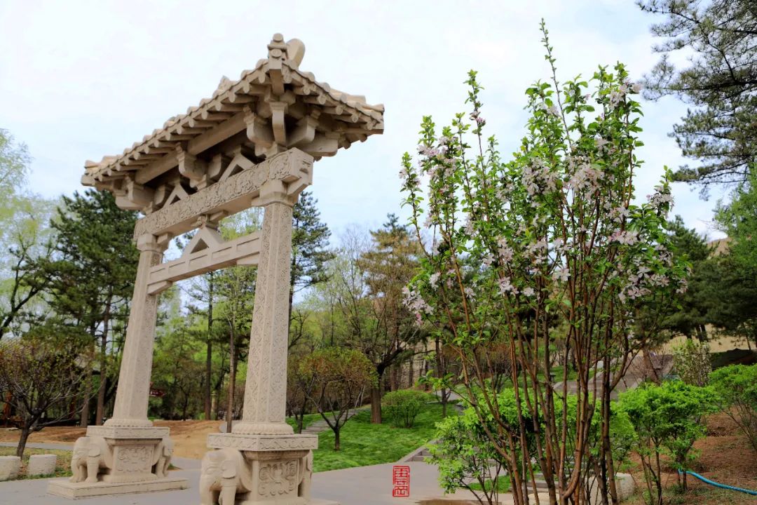 梦境中的归途，解析做梦梦到回家但关键物品遗忘的深层含义