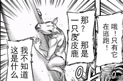 梦到自己死了，预兆与解析的深层探索