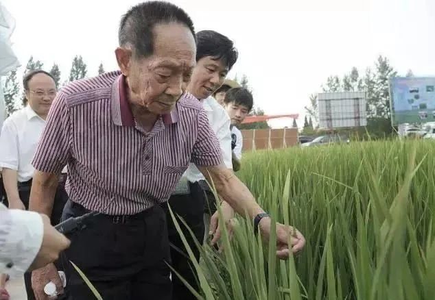 跨越时空的温暖——我梦见过世的爷爷，一次心灵的深度对话