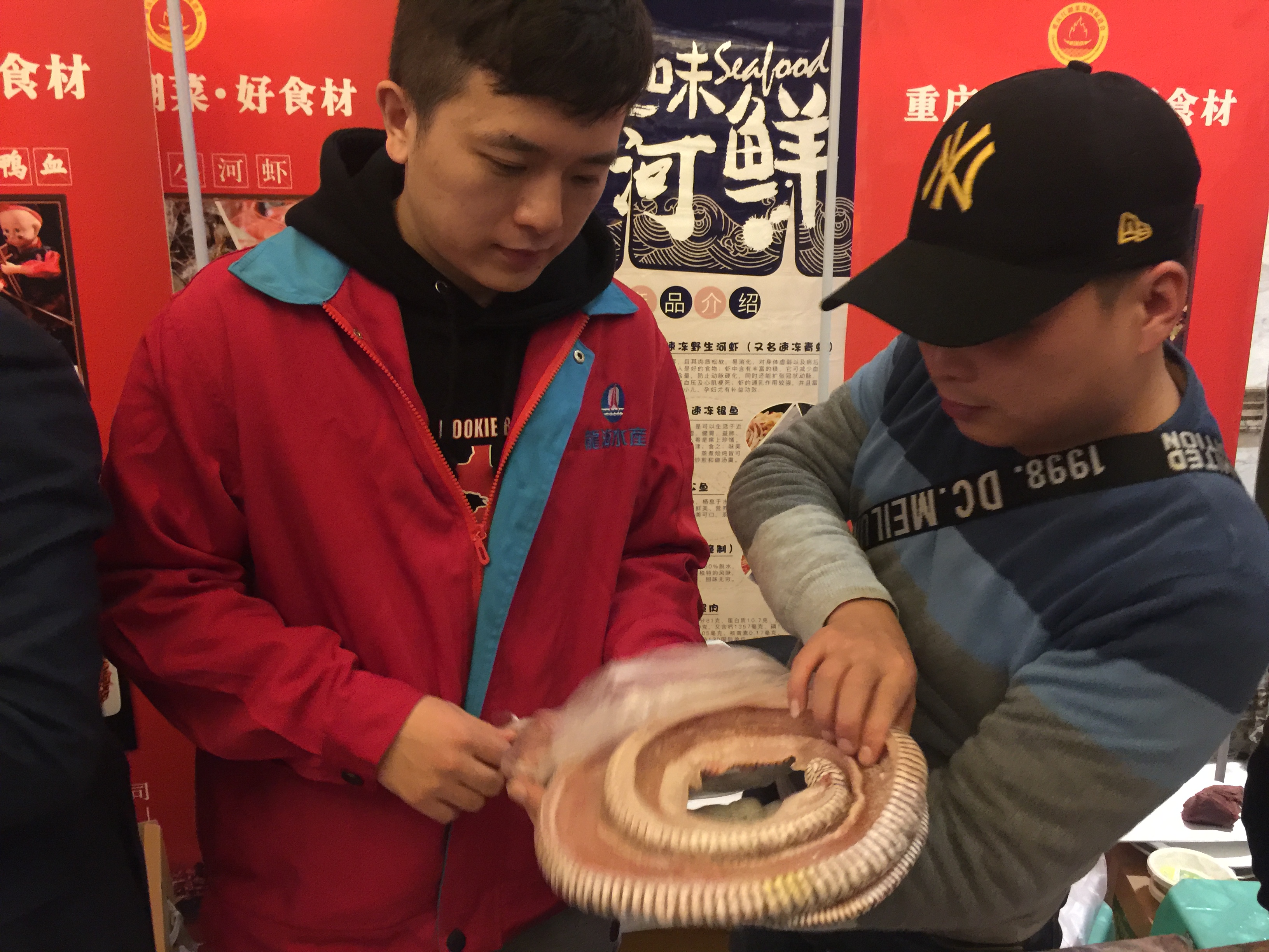 梦境解析，梦见自己杀蛇并见同伴食蛇的双重寓意