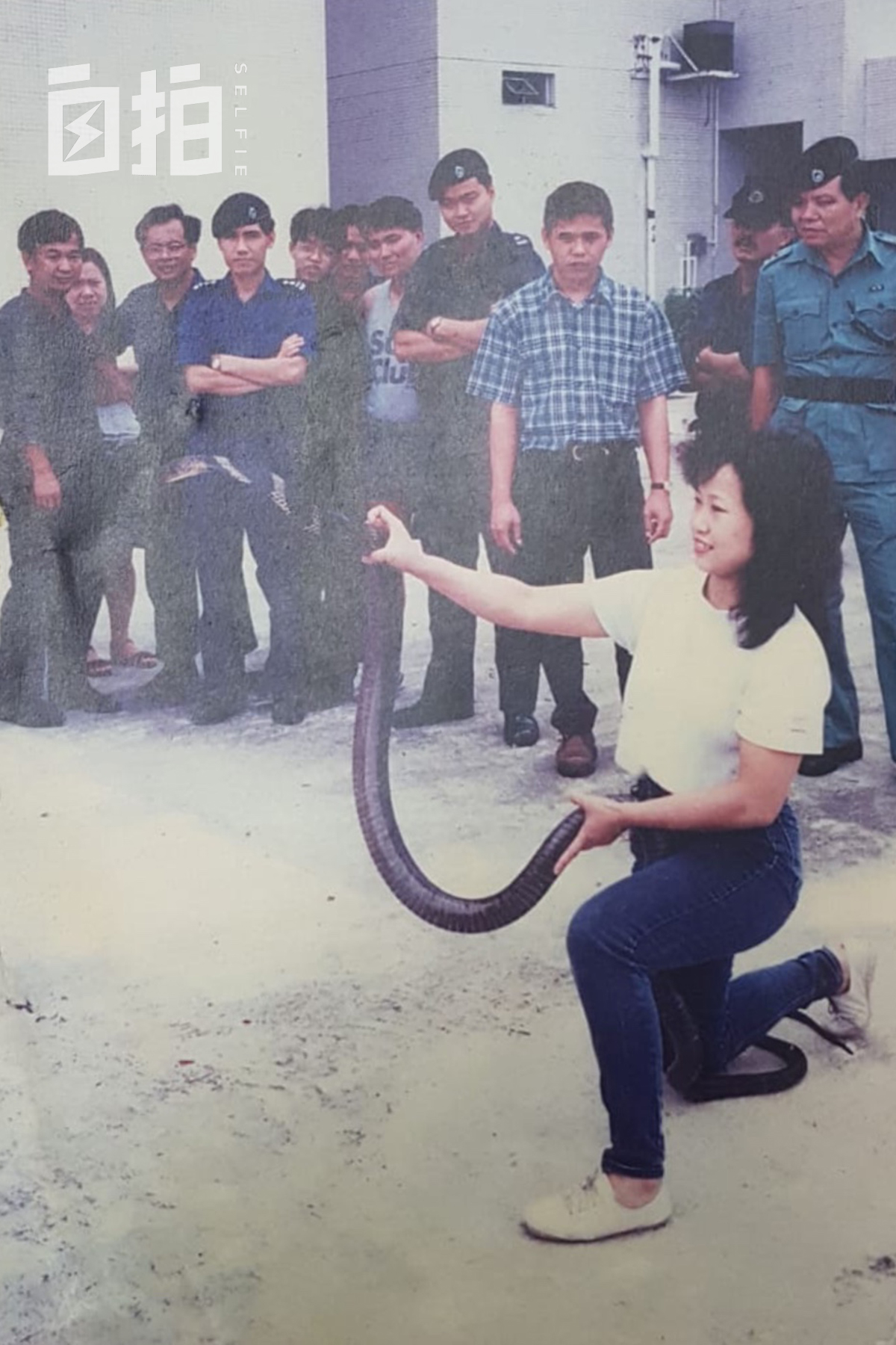 蛇咬惊魂夜，周公解梦梦见蛇咬自己蛇，暗藏什么人生转折信号？