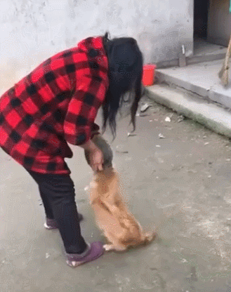 梦境解析，梦到被老鼠咬到与众多猫咪相助的深层含义