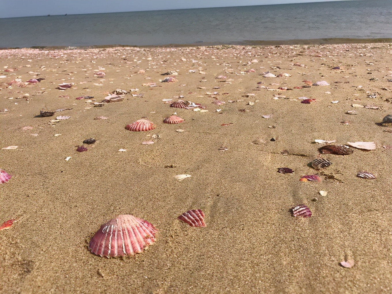 梦境中的馈赠，解析梦到给别人苹果的象征意义
