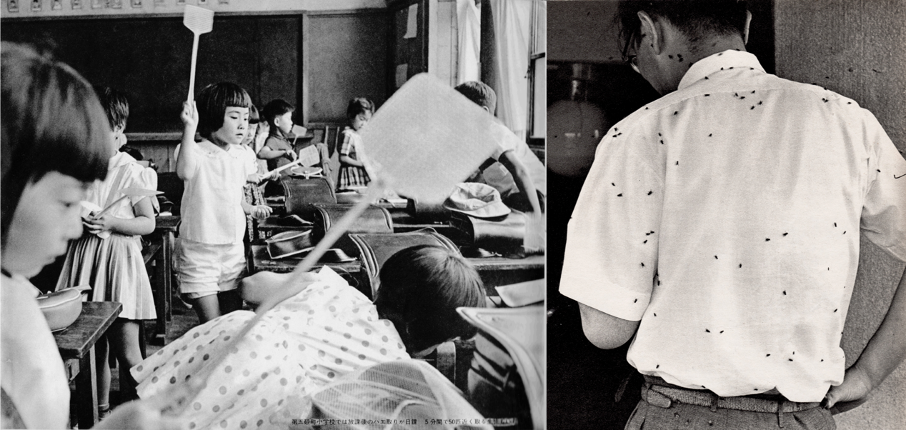 梦境启示录，解析梦到有人被焚烧致死的深层含义