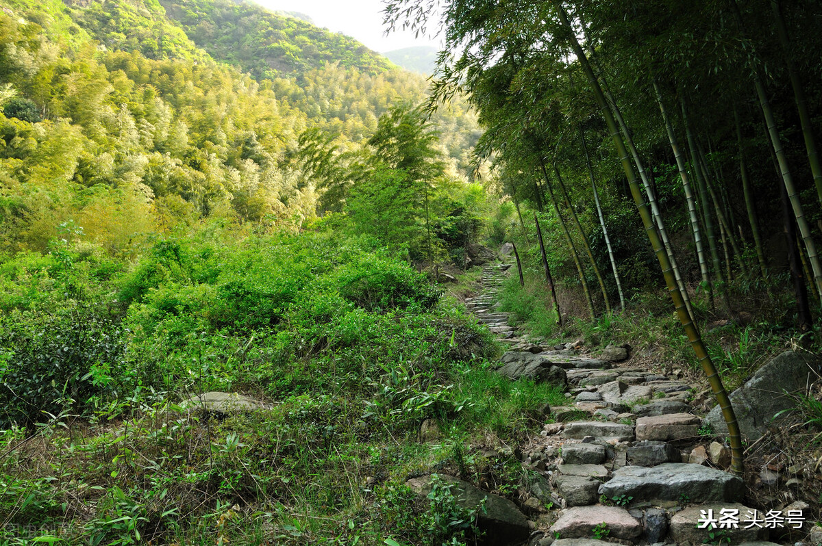 梦见老婆出轨，梦境背后的深层含义与心理解析