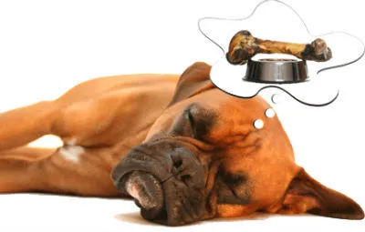 周公解梦，揭秘梦境背后的深层含义