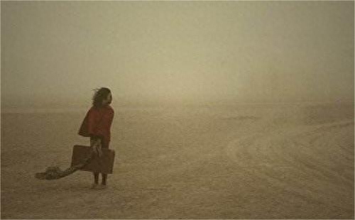 梦回姐姐老家，已逝公公婆婆的温馨重现——一场关于记忆、情感与和解的梦境解析