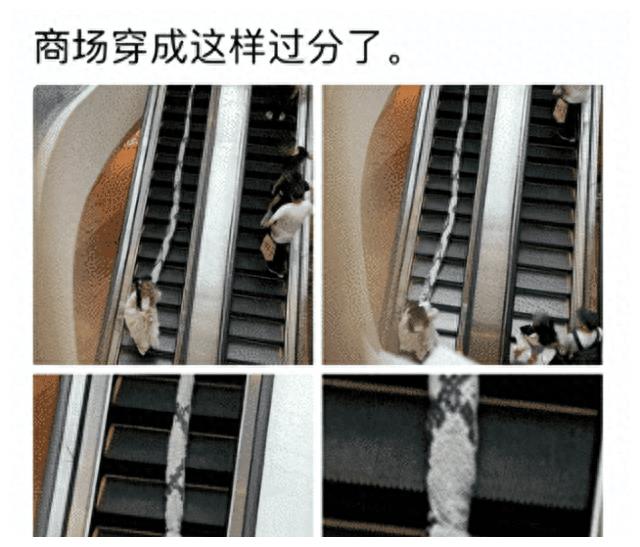 临晨五点多梦境解析，老公与我在商场中的微妙情感纠葛