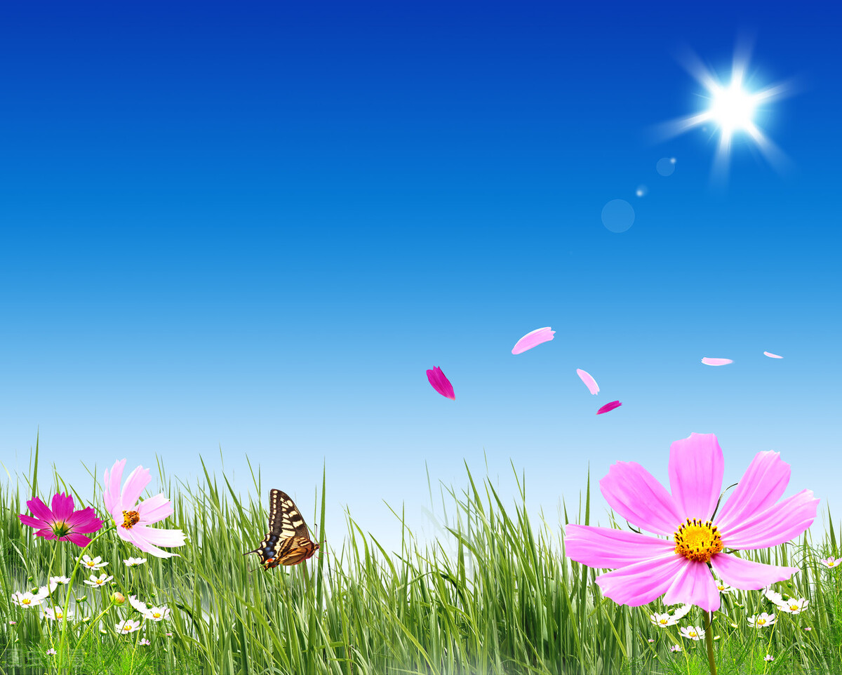 考试焦虑与情感波动，解析梦境中分手的深层含义