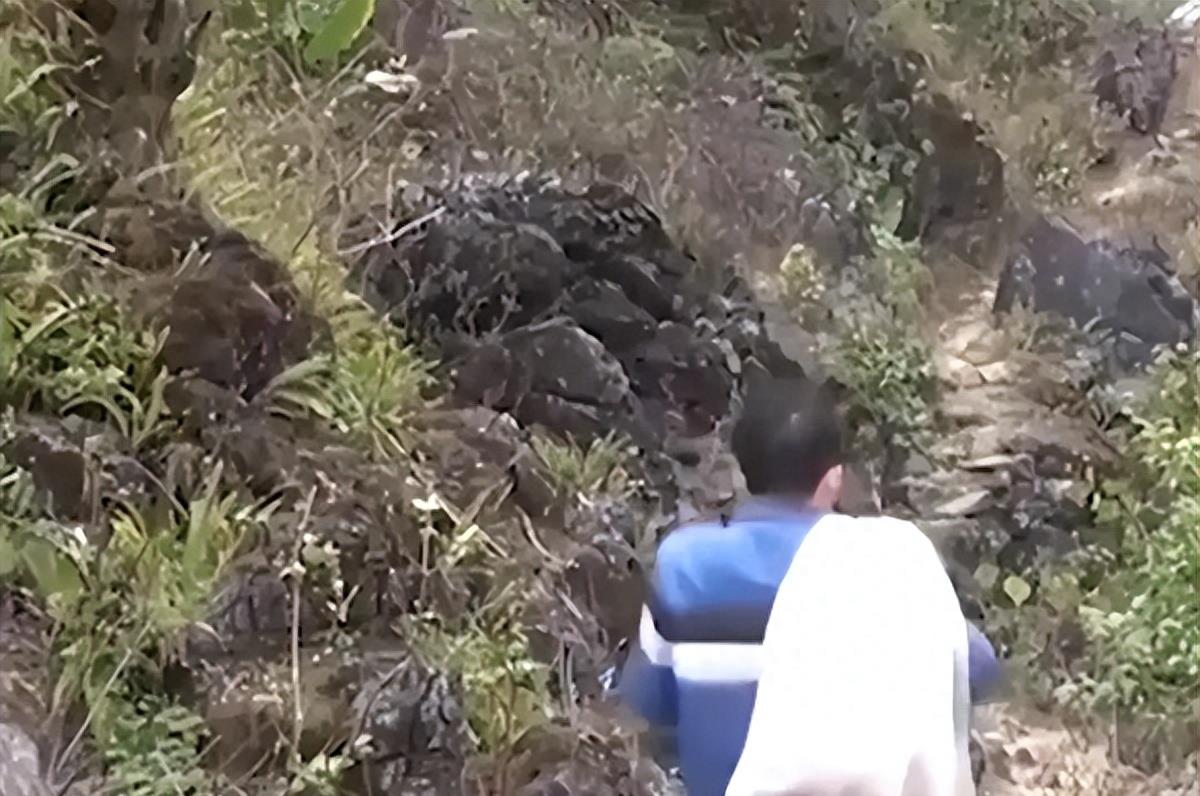 周公解梦，梦见蛇被打死还流了好多血，预示什么？