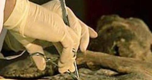 梦见别人要生产，预示新生命与希望之兆