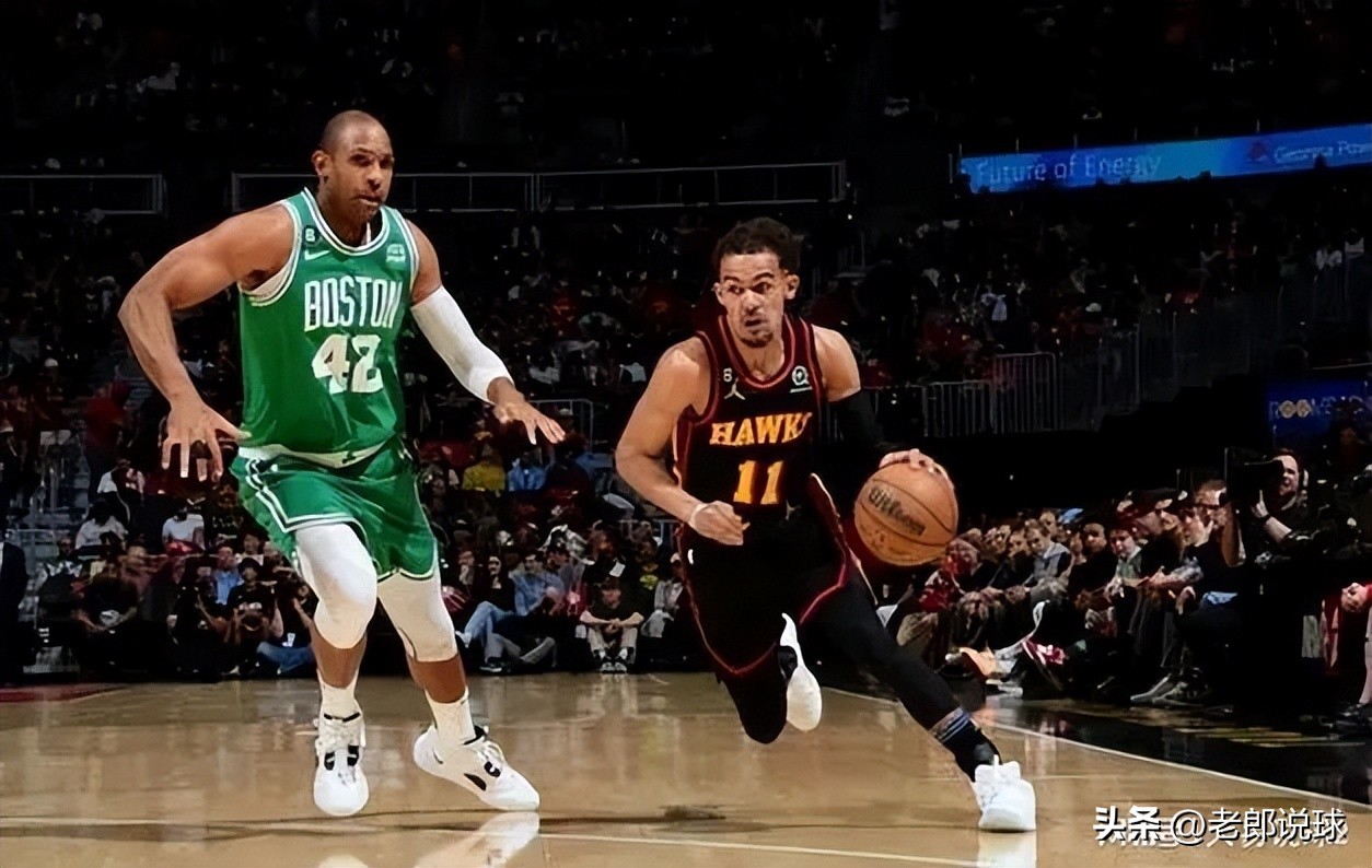 梦境双翼，孔雀与老鹰的寓言交织