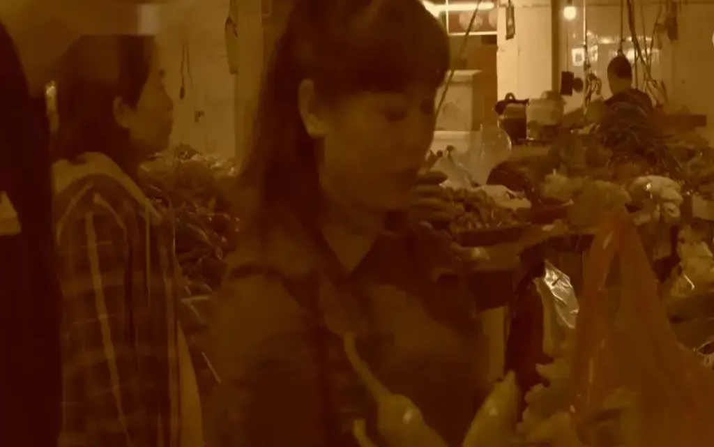 重逢梦境，离婚妻子归来之谜