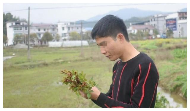 梦里重逢逝去的亲人，是吉是凶？——解梦外婆、外公与奶奶的到访