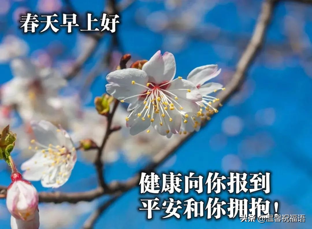 梦境的温馨画卷，解析梦见公公婆婆和老公我们一起下地干活的深层含义