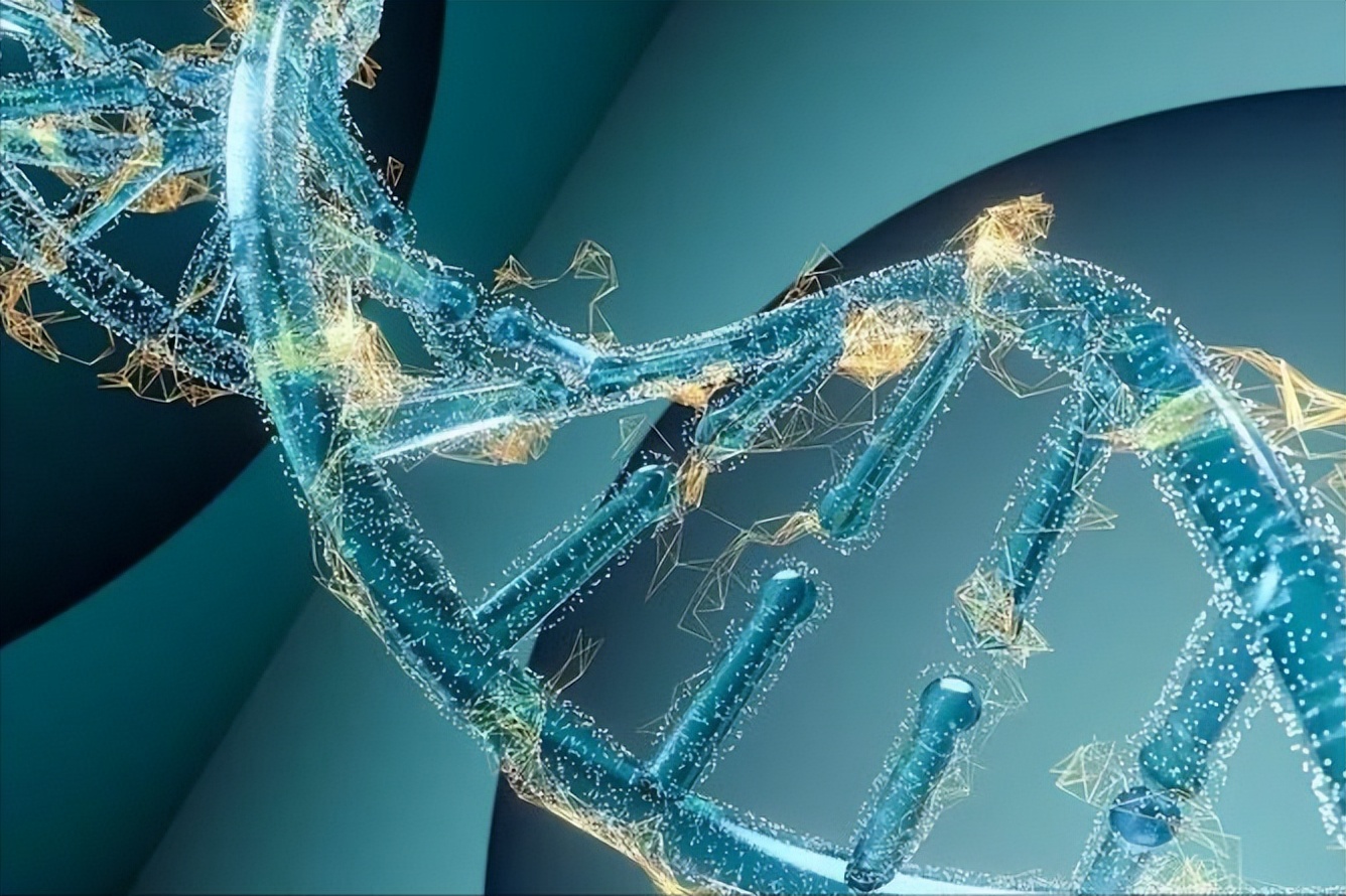 梦境的奥秘，探索我做梦梦到自己亲喜欢的人背后的深层含义