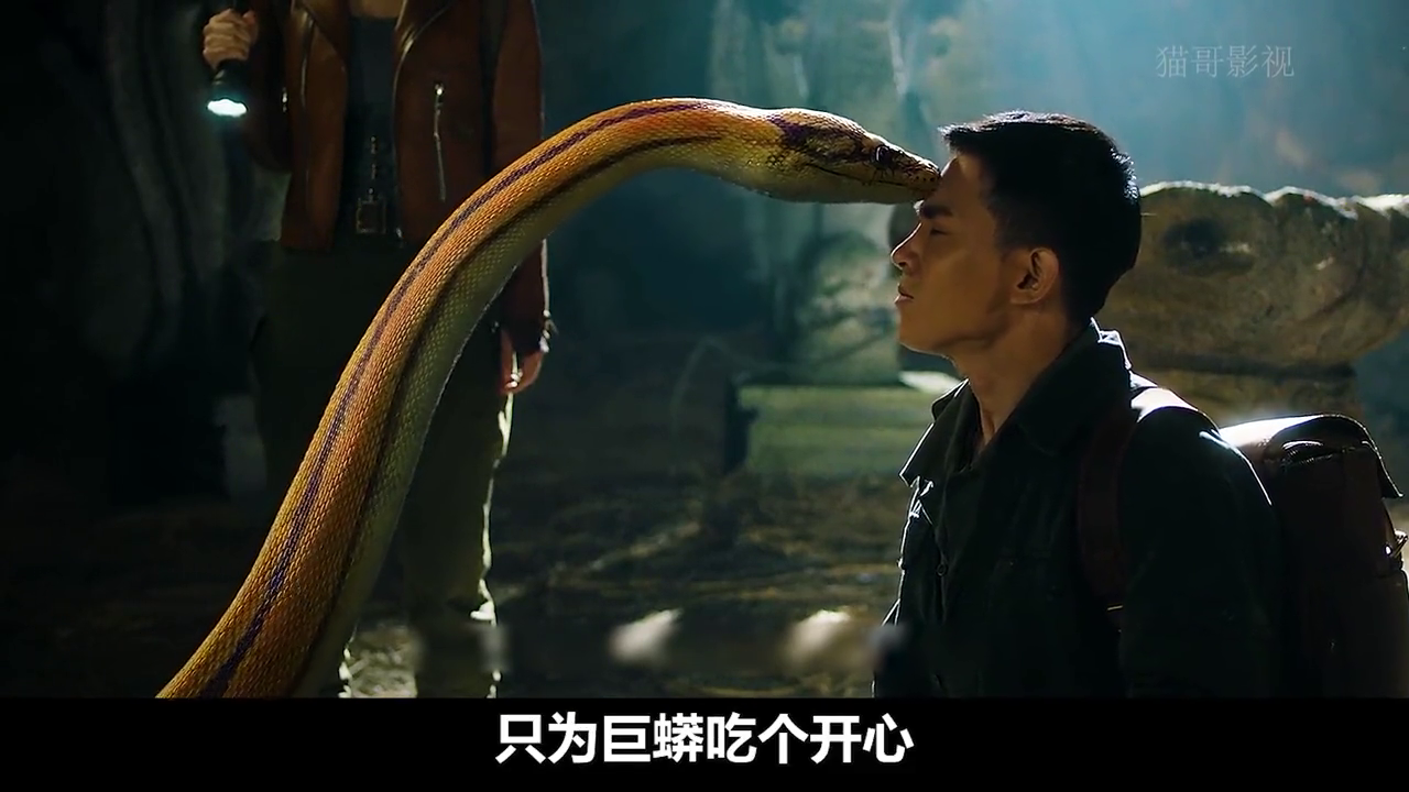 梦见大蛇吃人，梦境背后的深层解析与心理启示