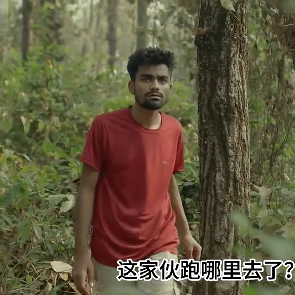 梦境中的恐惧与启示，解析梦到蟒蛇追杀我的深层含义