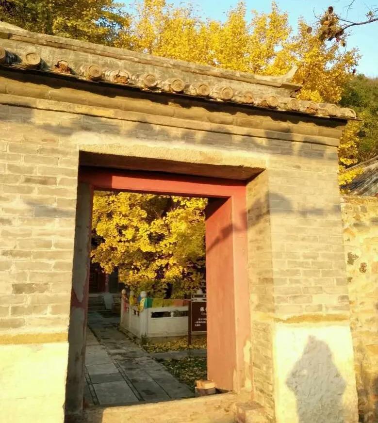 梦遇禅师，解我梦见和尚了有人可以帮我解一下梦吗之惑