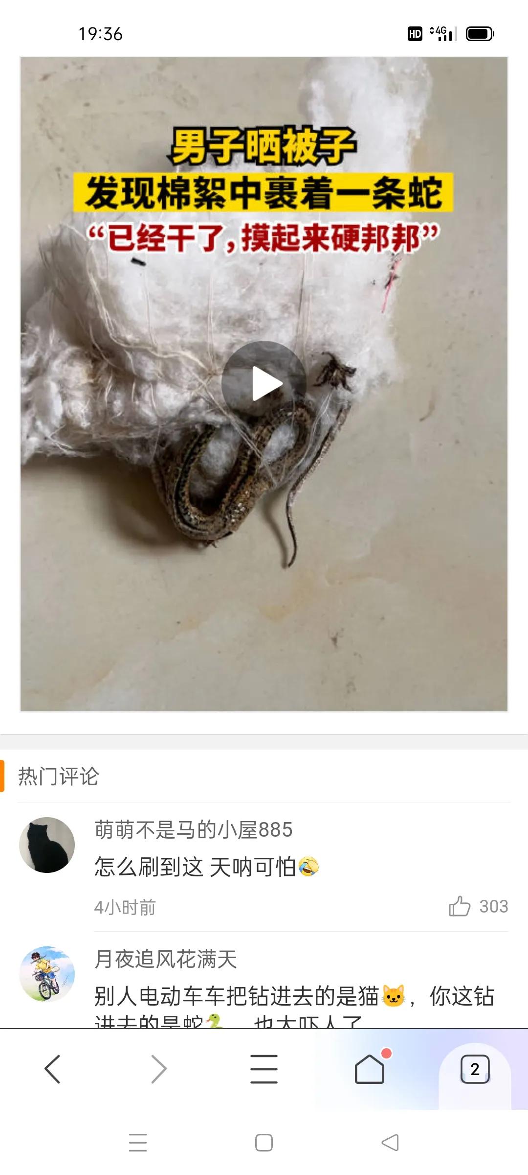 连续几天梦见蛇钻被窝，梦境背后的深层含义与心理解析