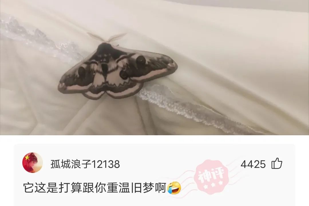 重温旧梦，梦见与昔日恋人共结完美婚姻的心灵解析