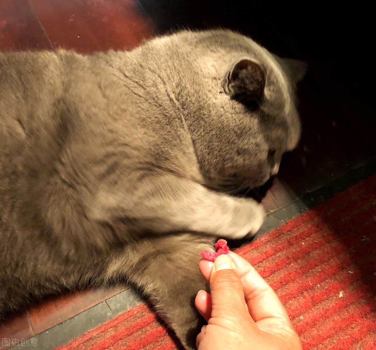 求解梦，昨晚做了个奇怪的梦，求解！