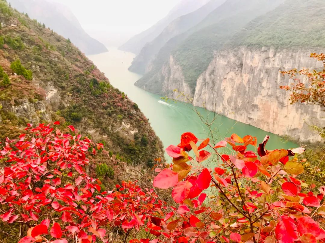 梦境波涛汹涌，水势渐消，解析梦境中的情感与变化