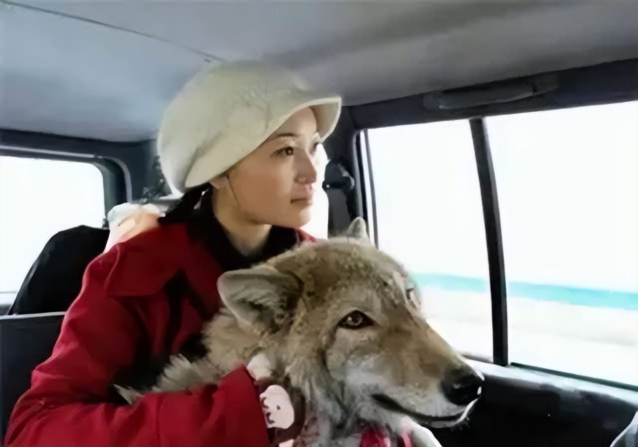 夜幕低语，梦里前缘再续——解析不时梦见前男友的深层含义