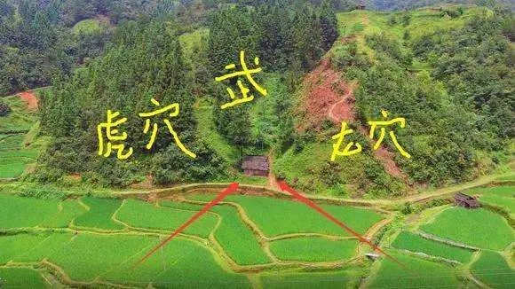 梦见在打小孩，究竟预示着什么？