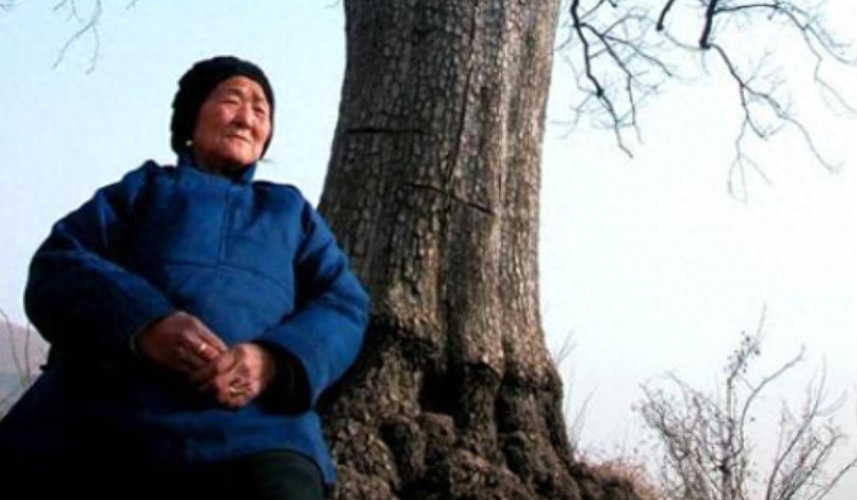 梦见邻居死了又活了追着打我，梦境背后的深层解析与心理启示