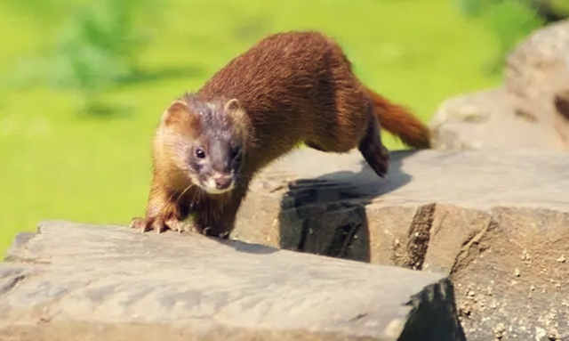 床底之谜，解密梦中活现小男孩的寓意与心理暗示