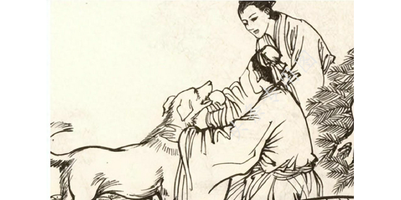 梦见养了一缸蛇，潜意识的警示与内心探索