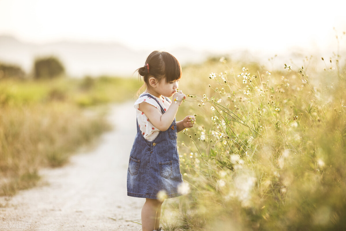 梦境交织的隐喻，解析梦见别人家骨灰盒与我孙女放在一起的深层含义